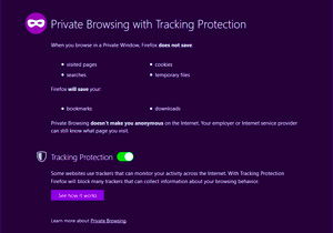 Private Browsing Window